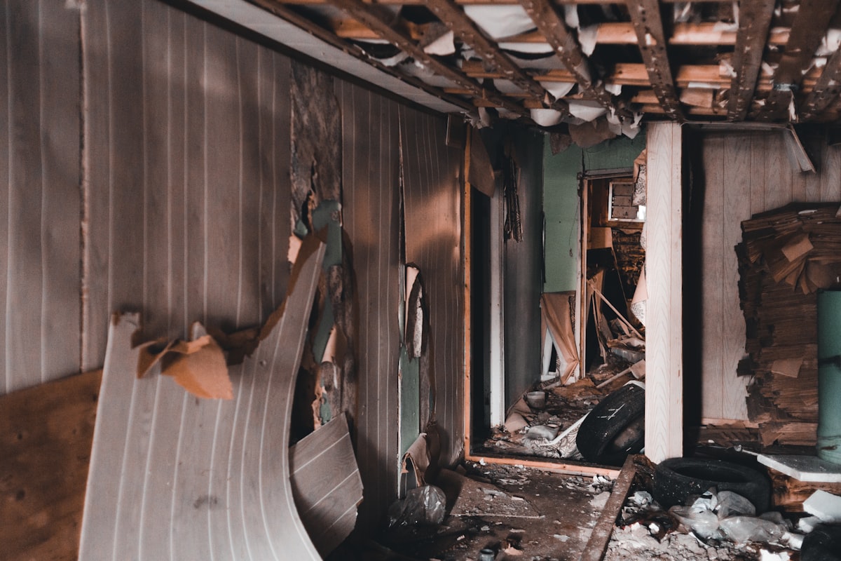 Disaster Cleanup process